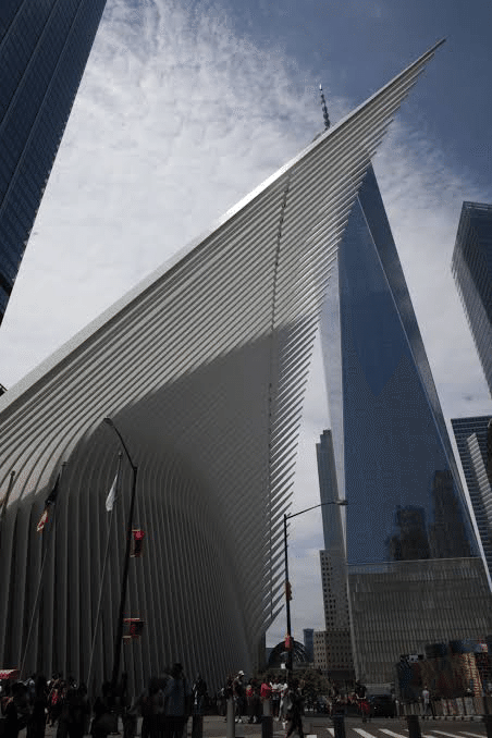 public building サンディエゴ カラトラバ サンティアゴ・カラトラバの建築。|_