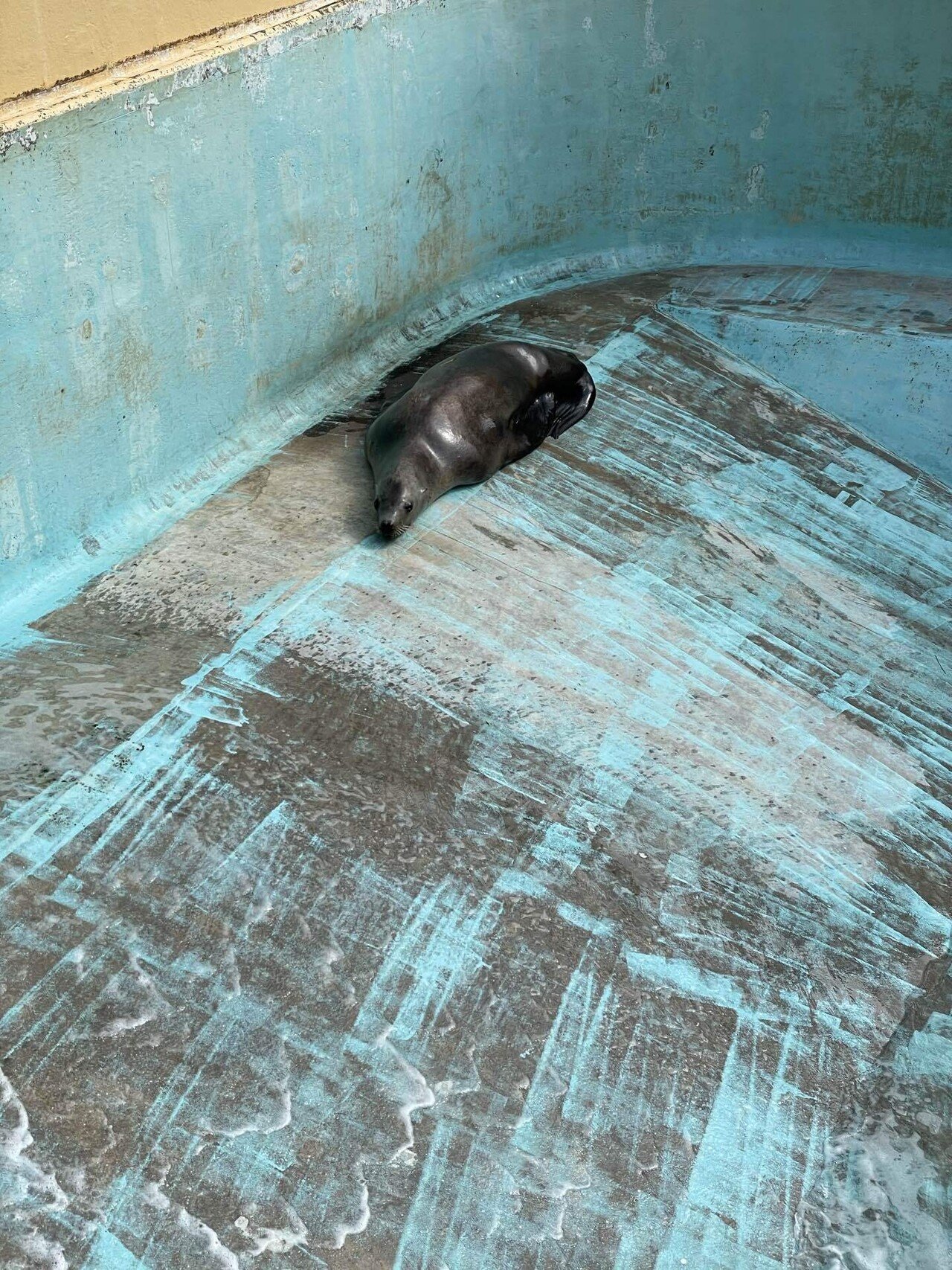 ぐでーん 巷のyuki Note