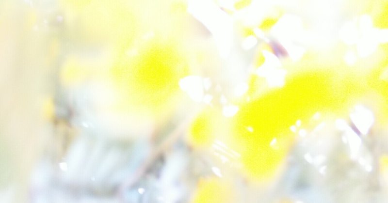 花粉症対策 はじめました Veronique Note 花粉症対策 はじめました Veronique Note
