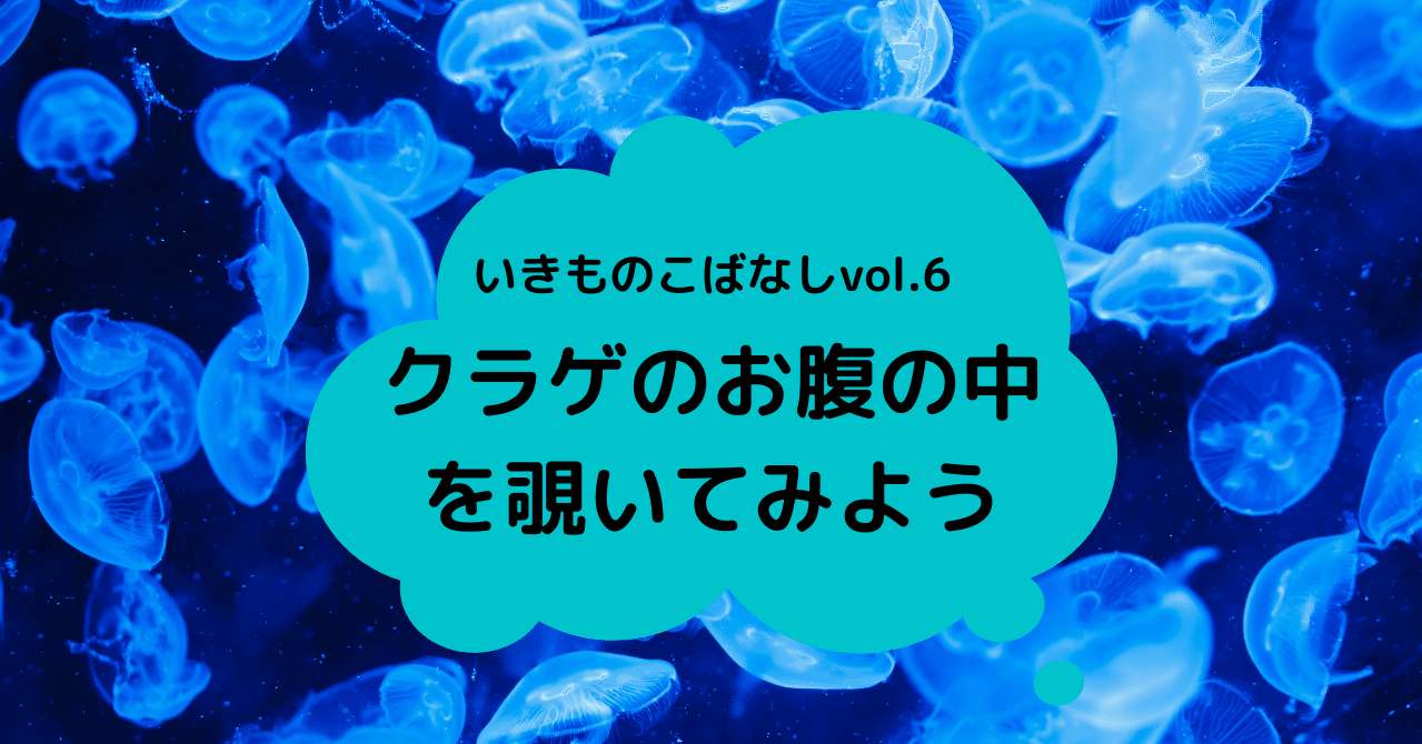 クラゲと繊細な人は似たもの同士 24da にしだ Note クラゲと繊細な人は似たもの同士 24da にしだ Note