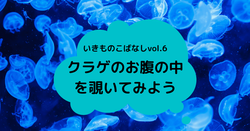 クラゲと繊細な人は似たもの同士 24da にしだ note