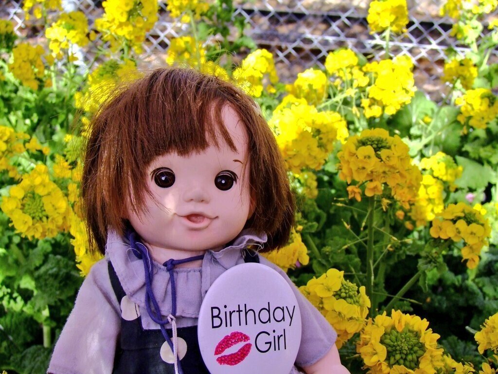 ミモザより菜種 菜の花 の方が心情的にはいい 必死になって 国際女性デー ミモザフェスタ を ゴリ押し してる感が強く感じる 日本には 菜種 菜の花 があって 菜種梅雨 この時期の多い雨天 Popodoll Note ミモザより菜種 菜の花 の方が心情的にはいい 必死になって 国際女性デー ミモザフェスタ を ゴリ押し してる感が強く感じる 日本には 菜種 菜の花 があって 菜種梅雨 この時期の多い雨天 Popodoll Note