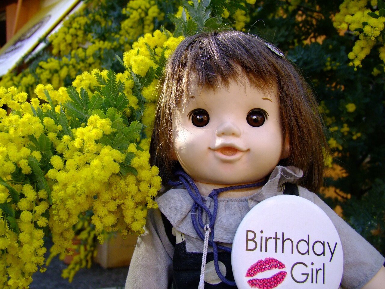 ミモザより菜種 菜の花 の方が心情的にはいい 必死になって 国際女性デー ミモザフェスタ を ゴリ押し してる感が強く感じる 日本には 菜種 菜の花 があって 菜種梅雨 この時期の多い雨天 Popodoll Note ミモザより菜種 菜の花 の方が心情的にはいい 必死になって 国際女性デー ミモザフェスタ を ゴリ押し してる感が強く感じる 日本には 菜種 菜の花 があって 菜種梅雨 この時期の多い雨天 Popodoll Note