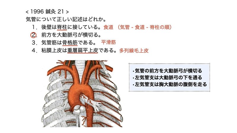 【徹底的国試対策】3-3 呼吸器系 - 気管・気管支.068