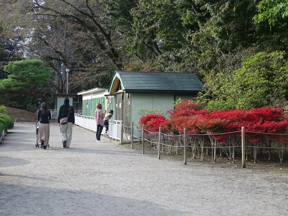 画像4