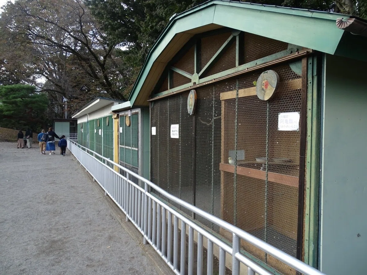 画像5