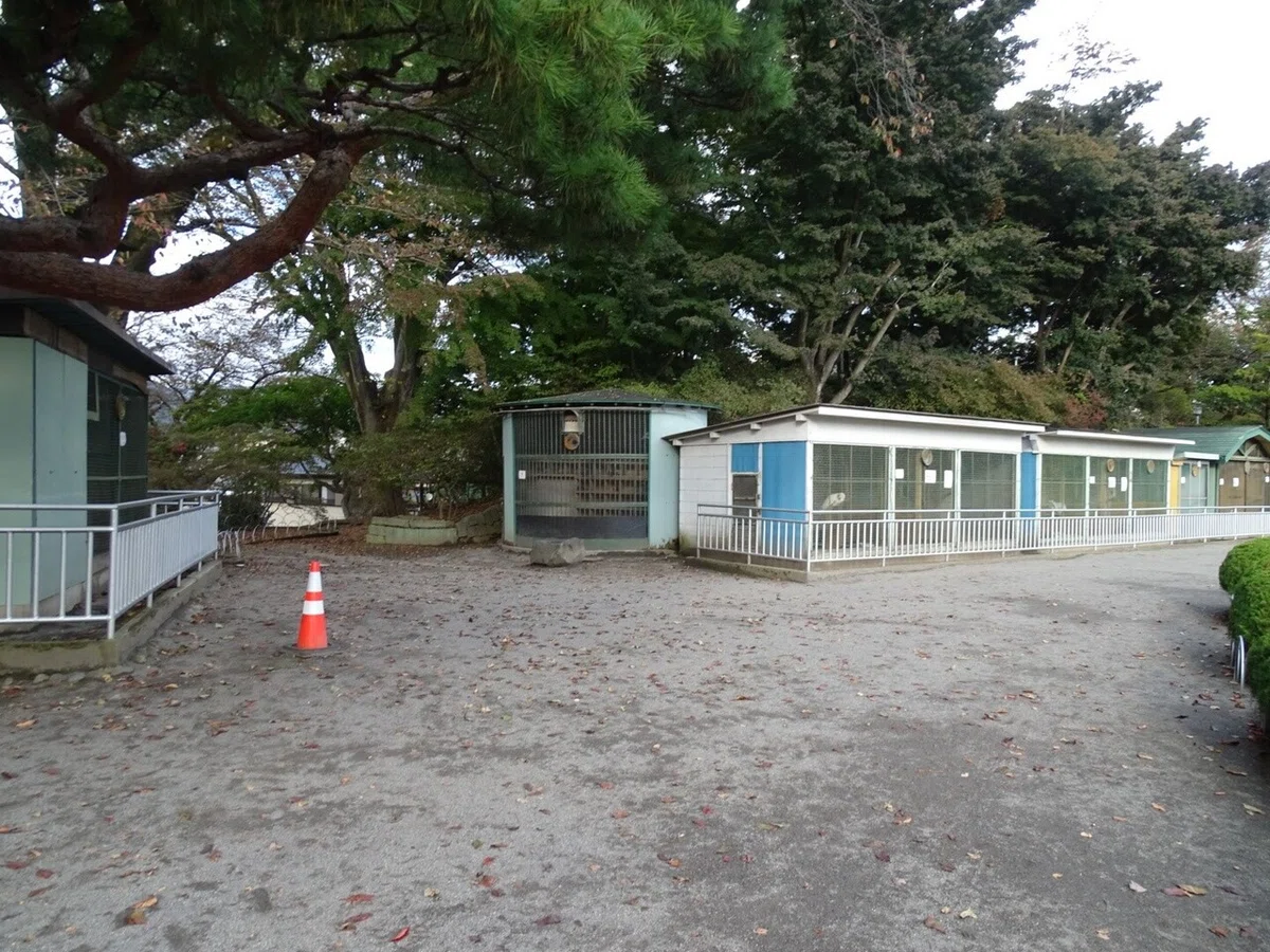 画像6