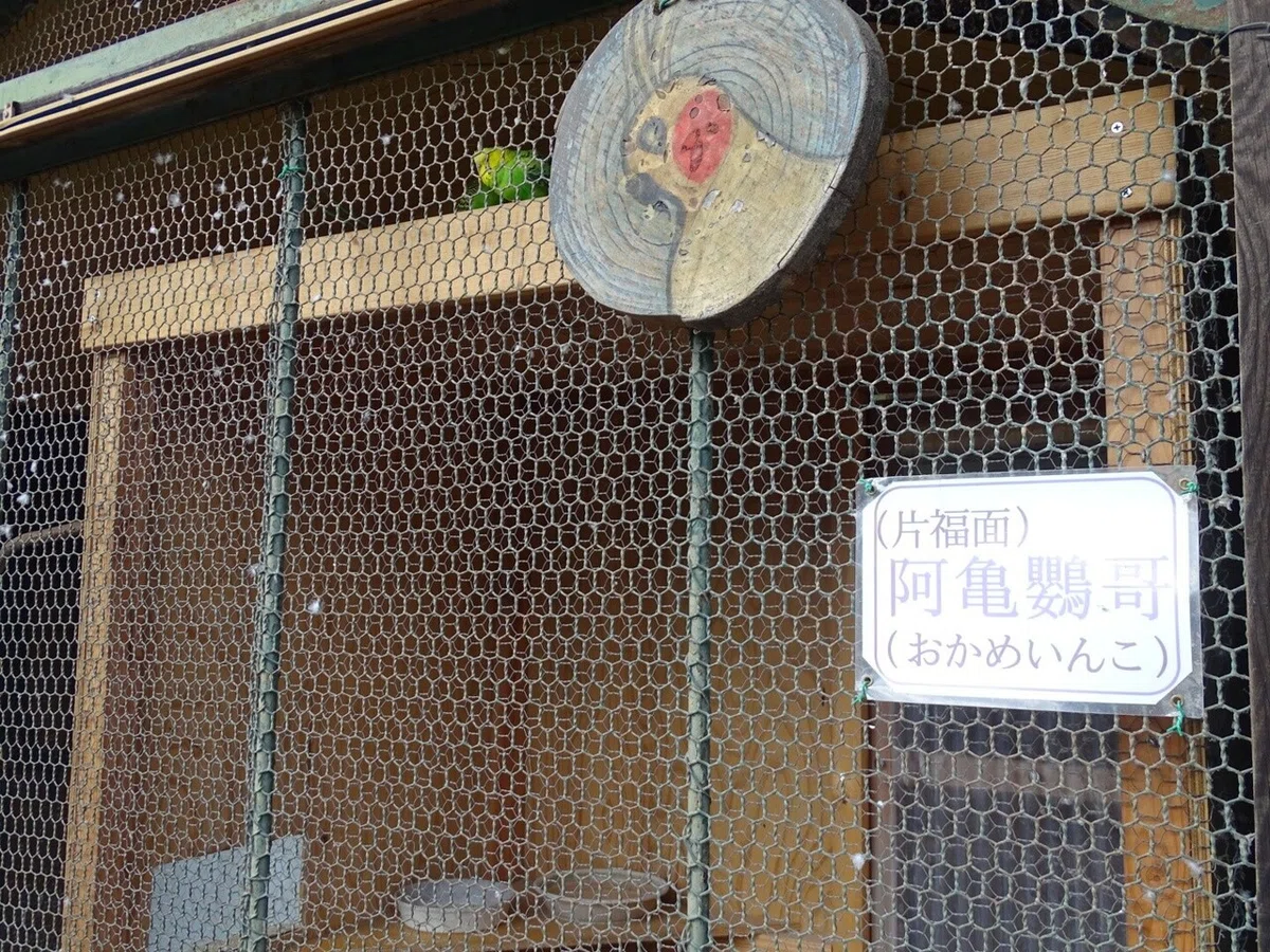 画像13