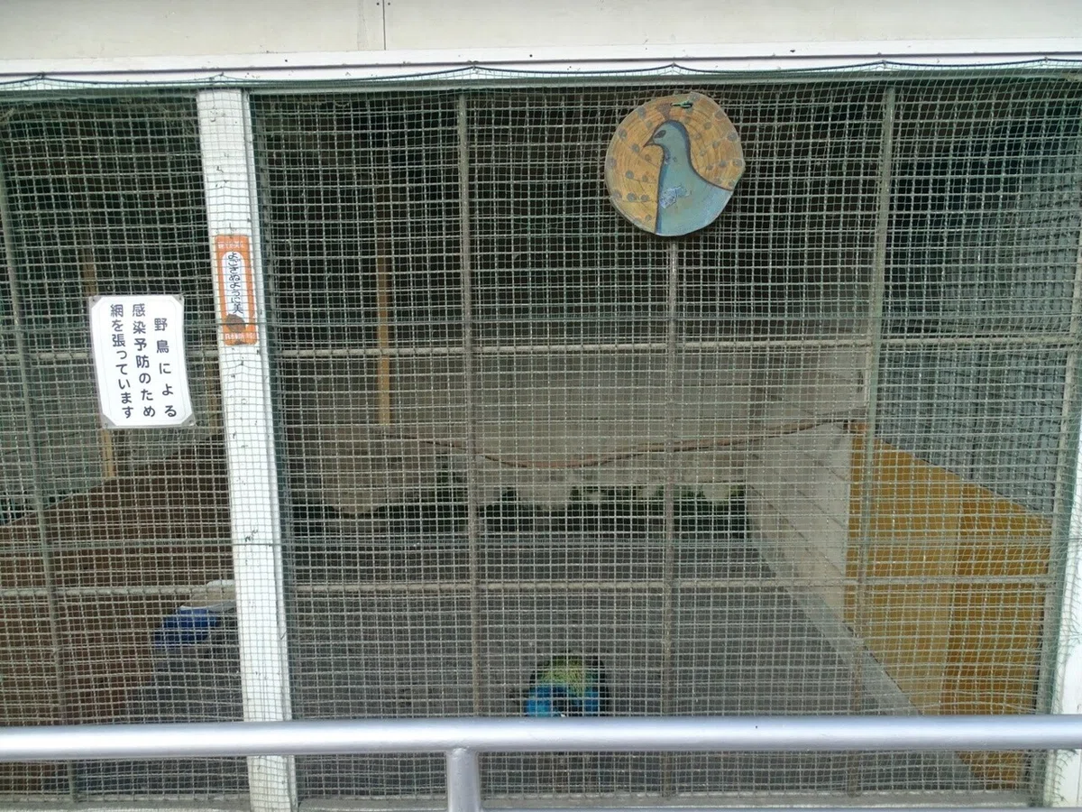 画像8