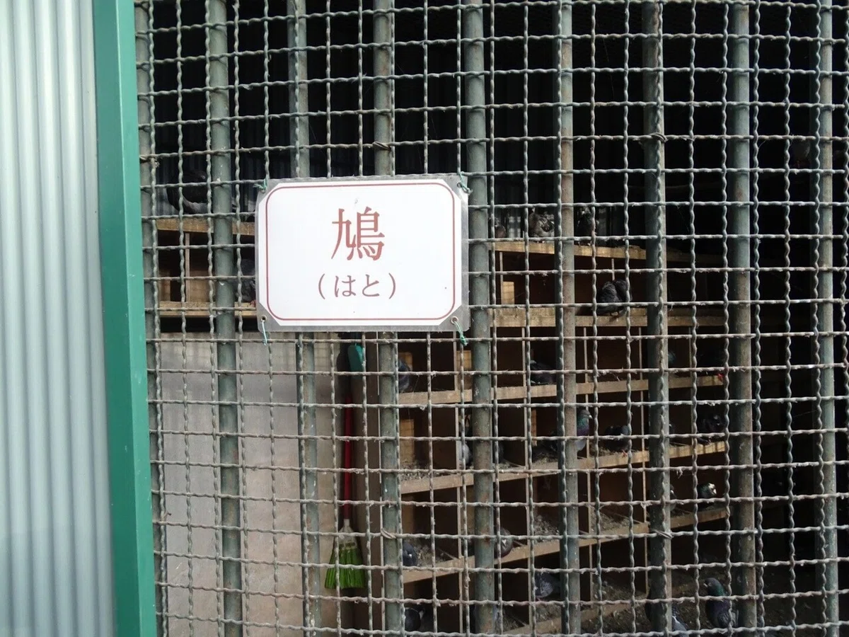 画像14