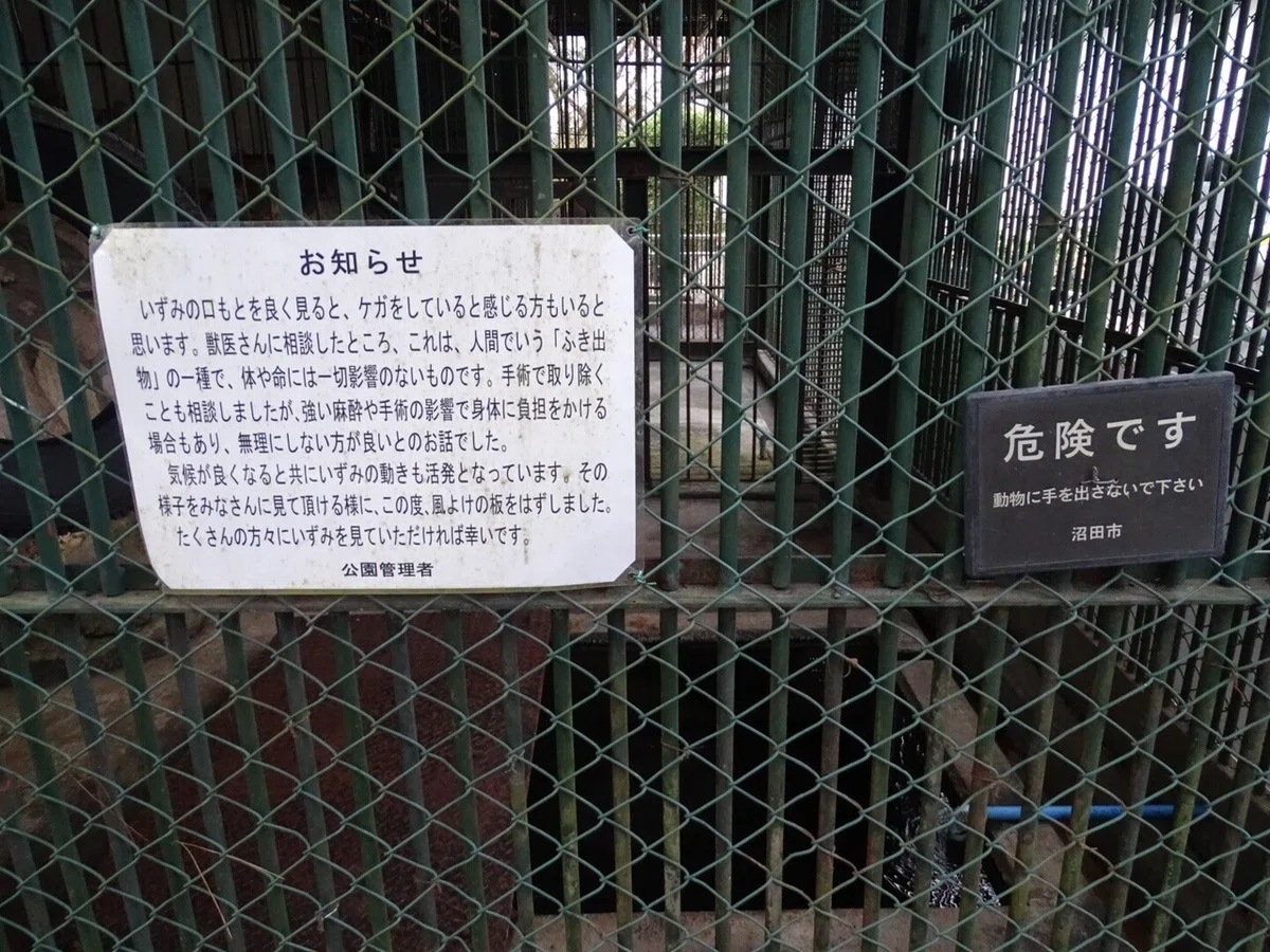 画像23
