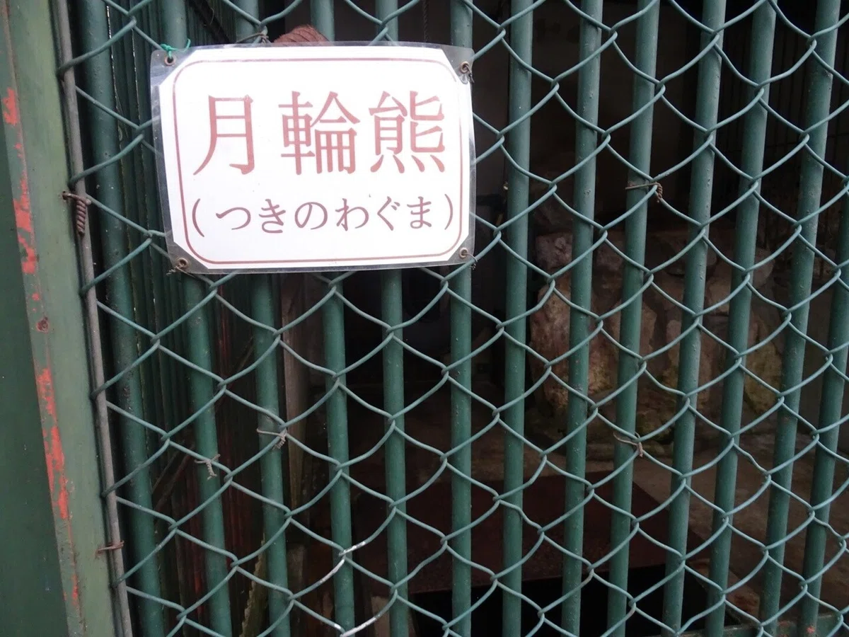 画像22