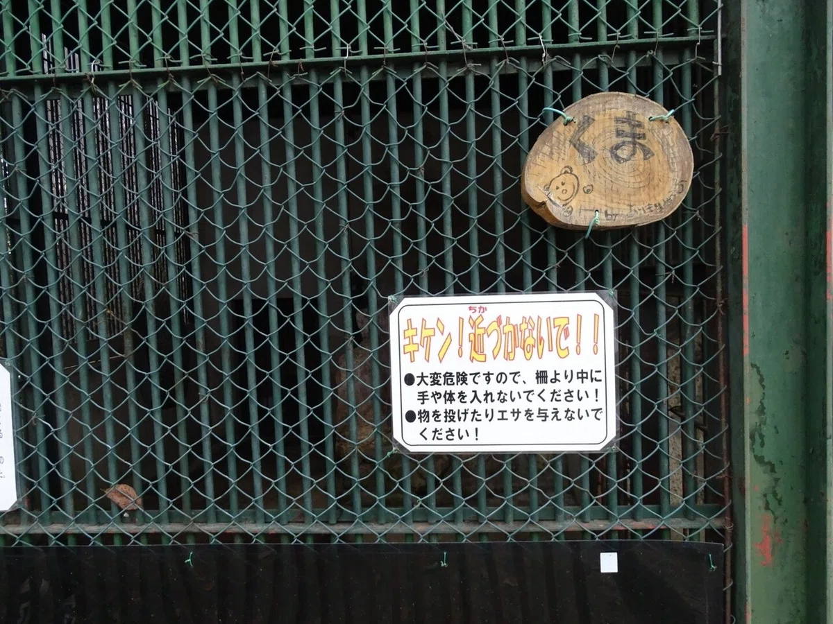 画像21