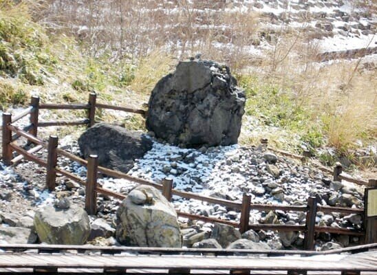 台付蛇紋石日本 蛇石【A-563】