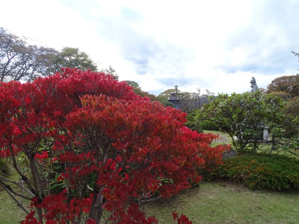画像29