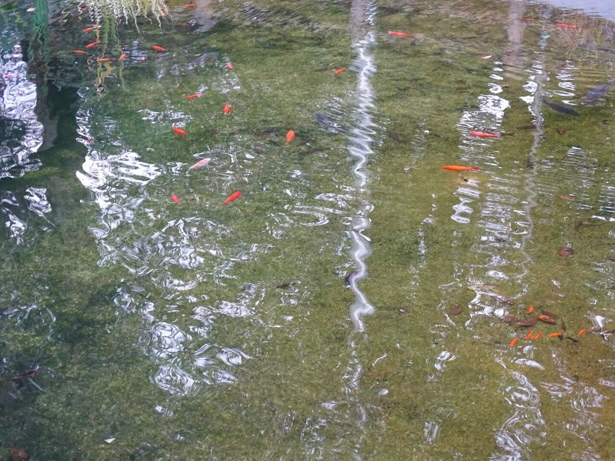 画像30