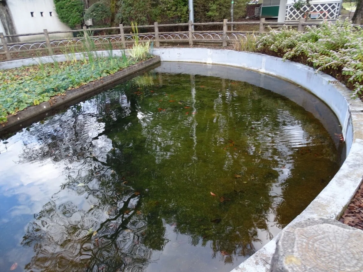 画像31