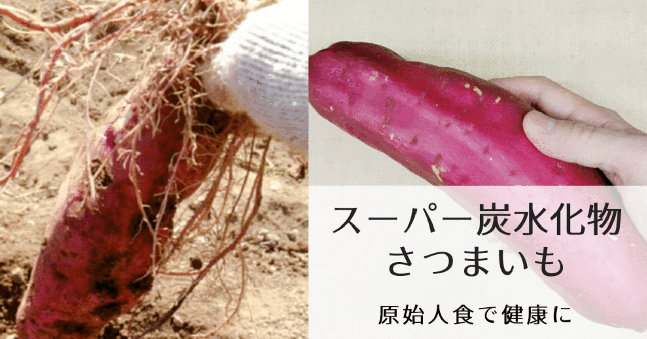 さつまいもを主食にしている民族は健康 長寿 修家大雄 レストラン ラ フェ Note