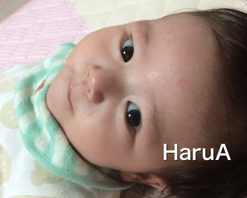 うちの長男 Harua Note