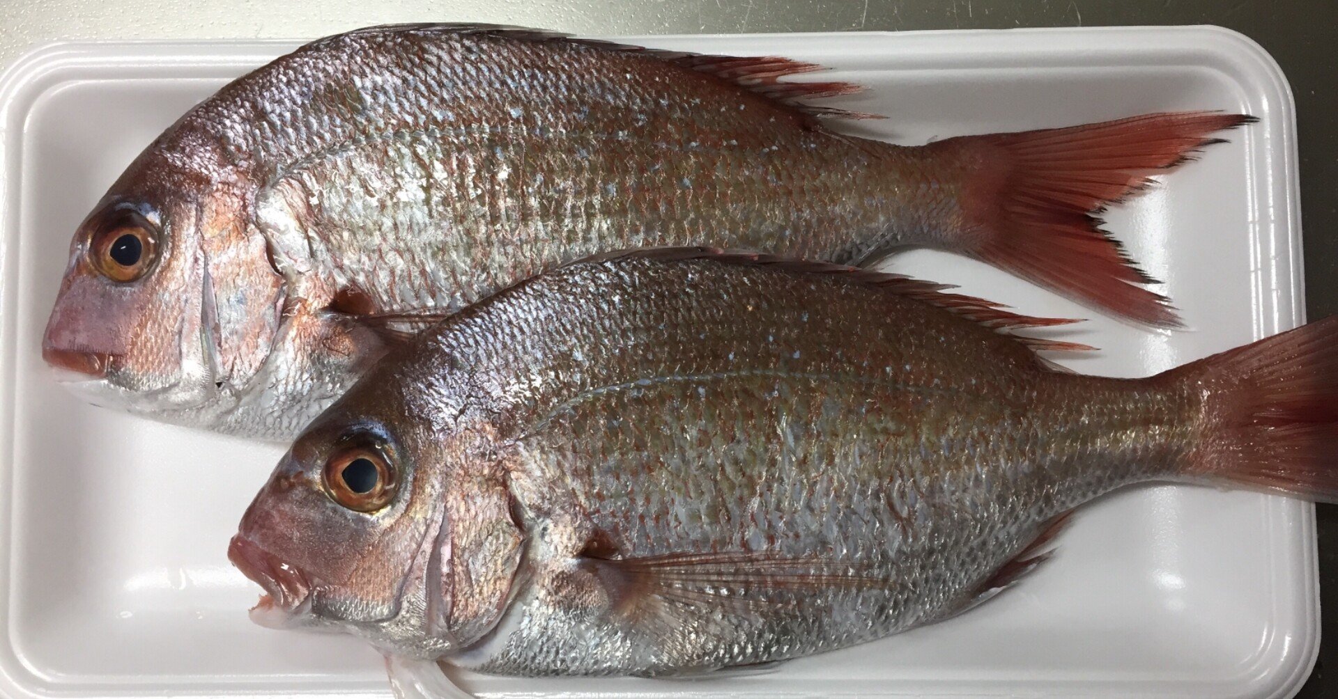 鯛の煮付け まるごと 尾頭付き Hiro Note