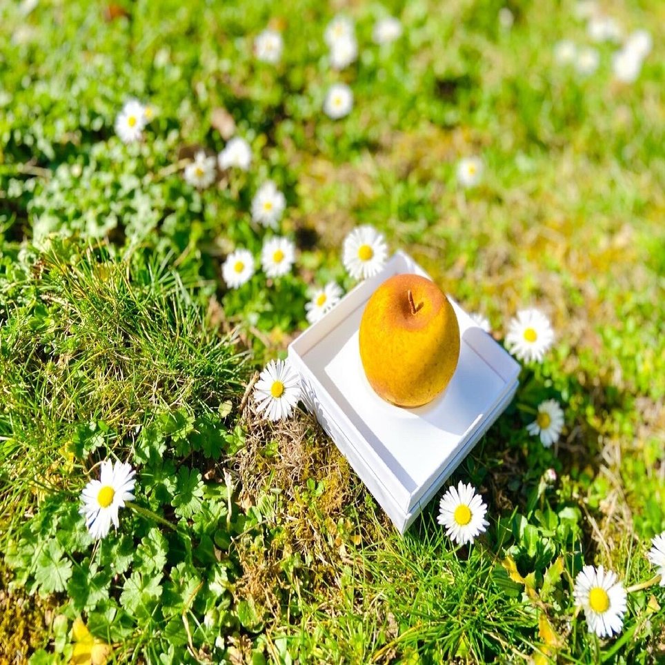 パリ】世界一のパティシエ、セドリック・グロレが作る宝石のように