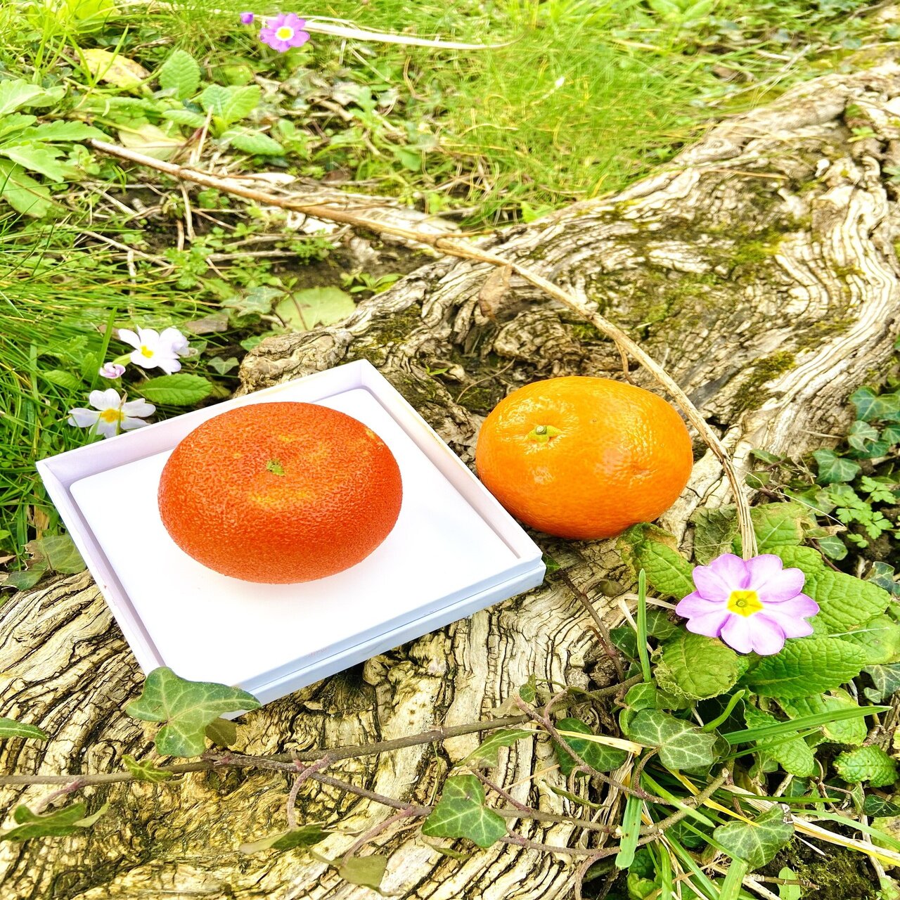 パリ】世界一のパティシエ、セドリック・グロレが作る宝石のように