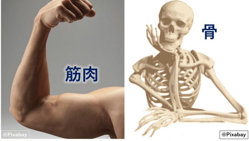 図2