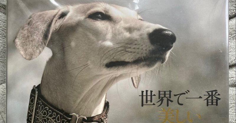 愛読書シリーズ 世界で一番美しい犬の図鑑 Shalabyrinth Note