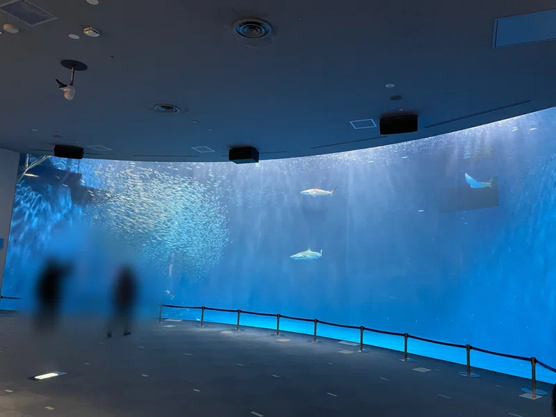 一人で水族館に行く日 21 02 26 ごさい Note