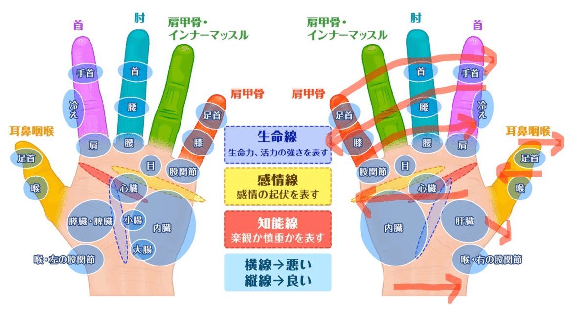 Amazon.co.jp: aフルセット//安倍吽馬易 相命整体 極 整体/理学