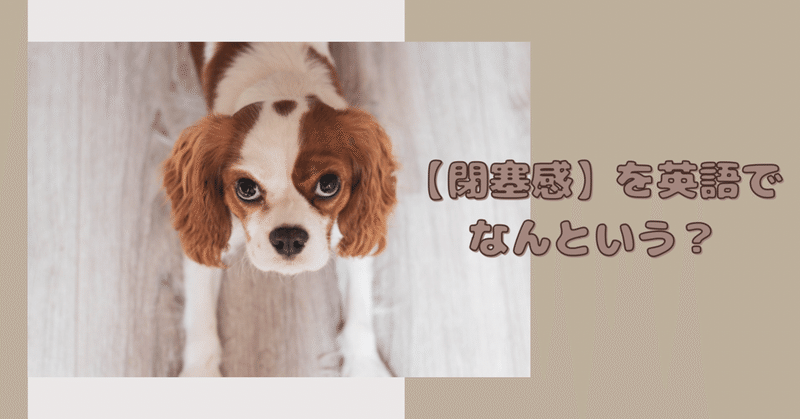 閉塞感 を英語でなんという Rae 英語小ネタ Note