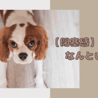 四捨五入にみる英語と日本語の違い Rae 英語小ネタ Note