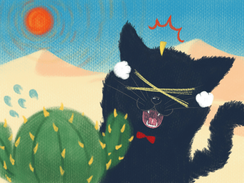 絵本 サボテンと黒猫のかぶるくん Go Sky Note