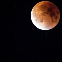 週刊少年ジャンプが300円になった日 私は世界の真理を知った かわさき Note