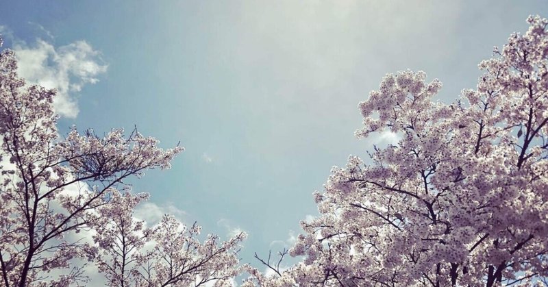 3月は卒業シーズン 寂しい心の傷に 今までありがとう を贈る絆創膏型シール 日本一 心に貼る絆創膏シールを創ってる人 描く命家 Toh Note