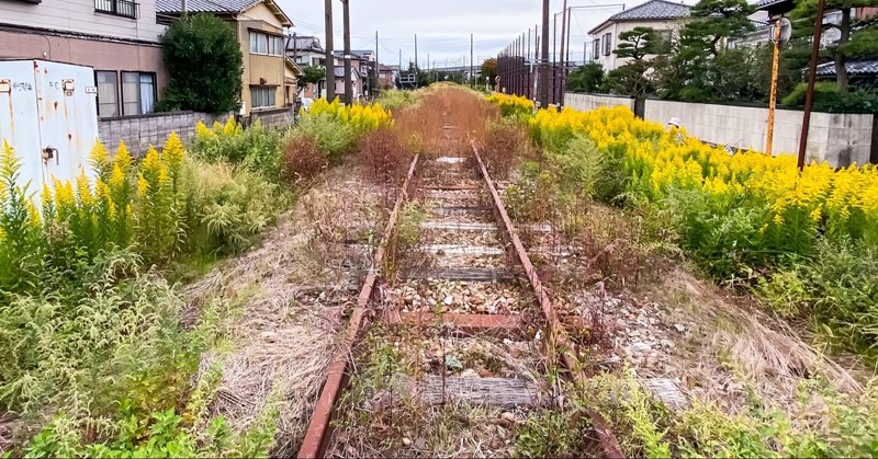 第30週　芸術家　中島みゆき