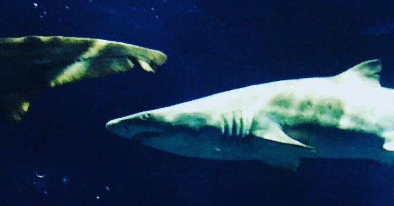 メガドロンが絶滅した理由から人類が学ぶべき事 トモエヤ Note メガドロンが絶滅した理由から人類が学ぶべき事 トモエヤ Note