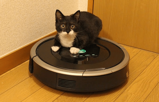 大坂なおみのテレビ中継をライブで見る方法 快進撃の今見るしかない テニスマニア1