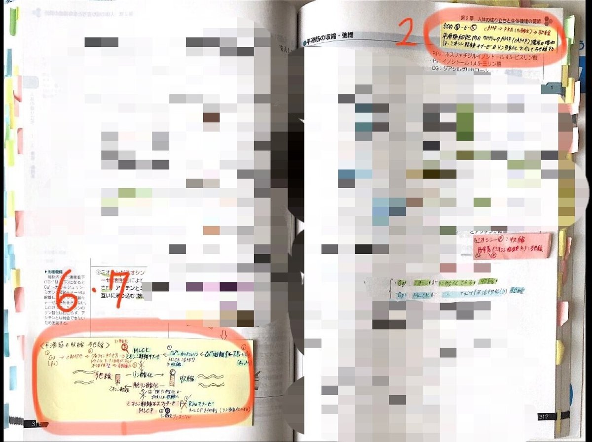 青本、青問1〜9 薬剤師国家試験対策参考書 青本〔改訂第9版〕 実務9 2020年版