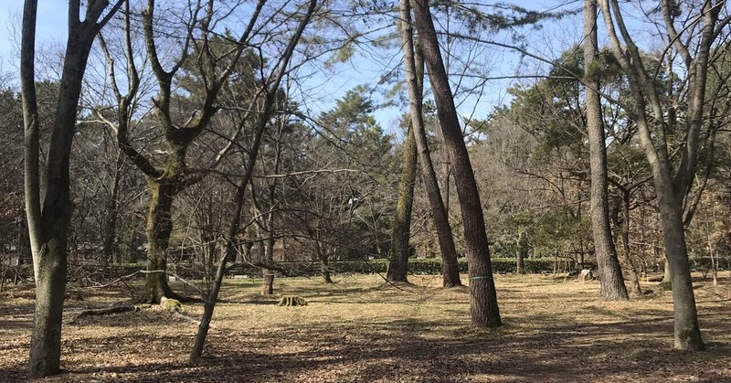 朝 森をあるいて 生と死のダンス あまにが Note 朝 森をあるいて 生と死のダンス あまにが Note