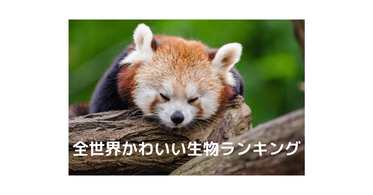 全世界かわいい生物ランキング ふんわりかみやさん Note