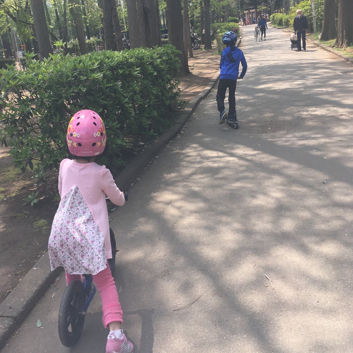 離婚してもしなくても 夫婦と親子を切り分けることの大切さ 南部成美さん 共同養育サポートりむすび公式 Note