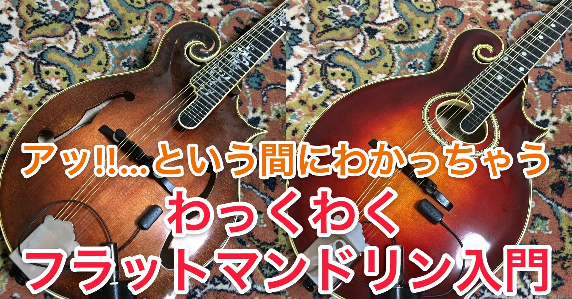 アッ！！…という間にわかっちゃう わっくわくフラット・マンドリン入門