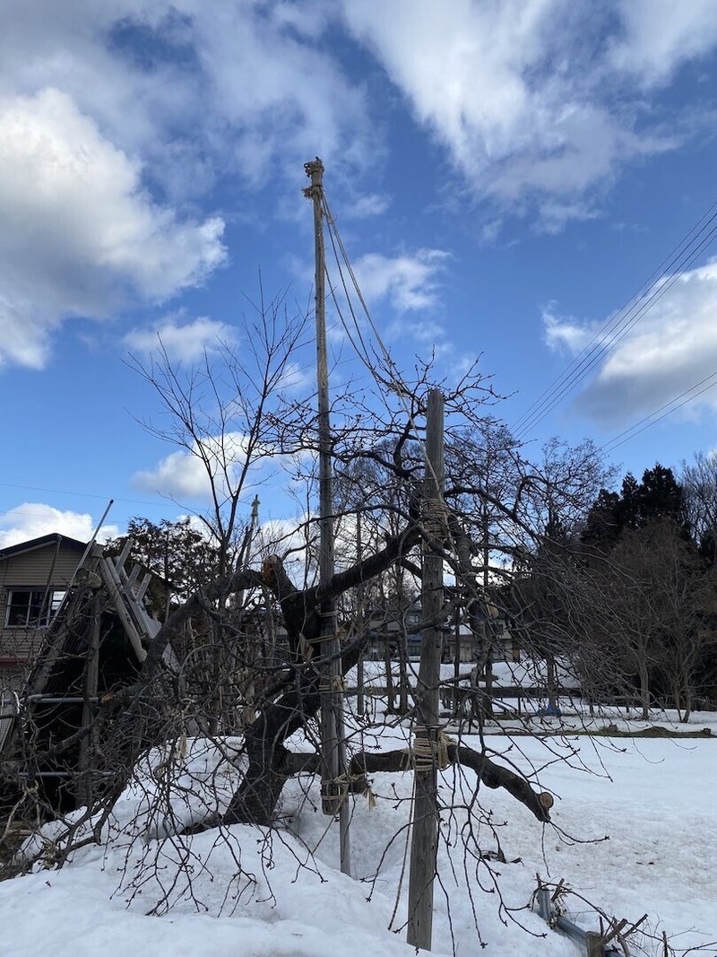 雪解け 今年の雪はすごかった 石野正彦 Note
