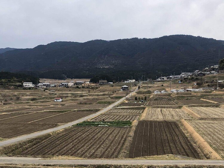 仰木の里の棚田