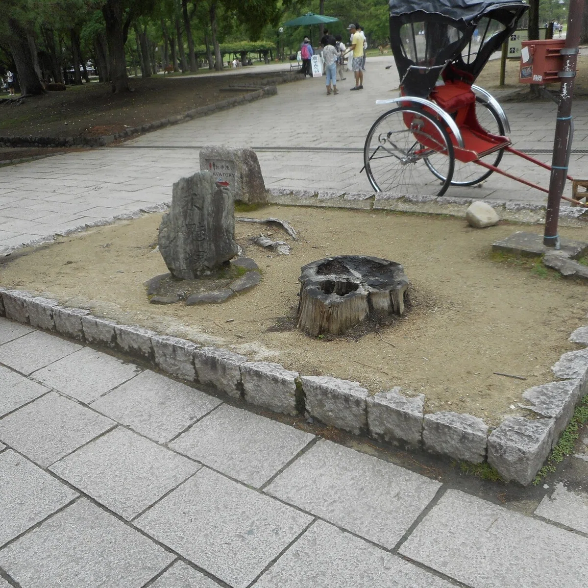 画像5