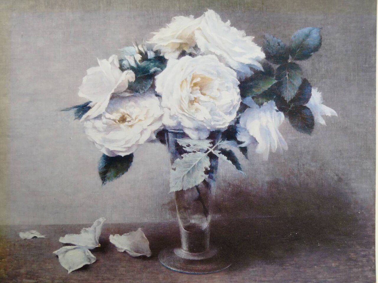 白いバラ (油彩 S12号)｜kunizo1952｜note