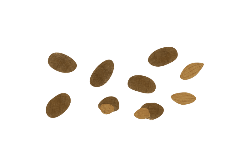 チョコレート のイラスト あや あしあと手帳2 Note チョコレート のイラスト あや あしあと手帳2 Note