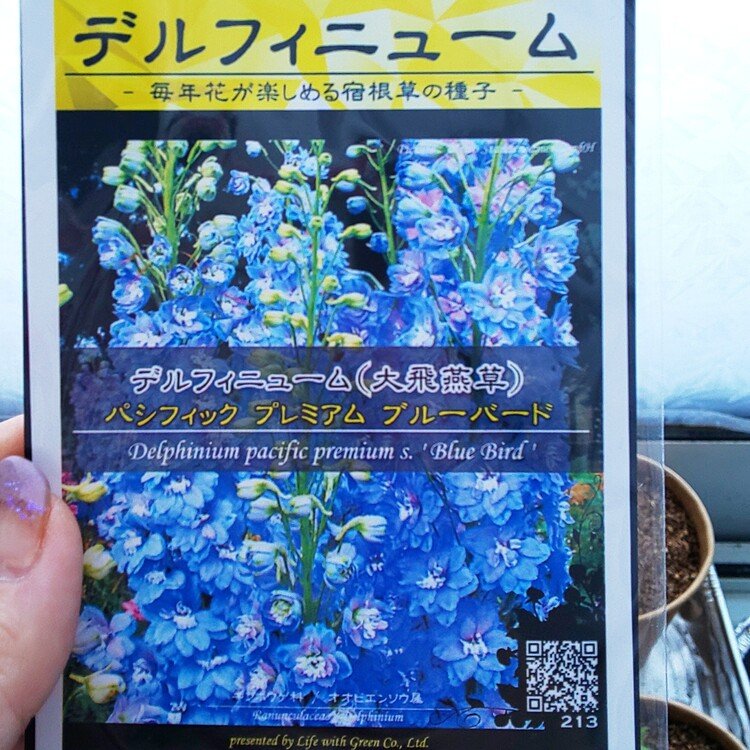北海道ガーデニング の新着タグ記事一覧 Note つくる つながる とどける