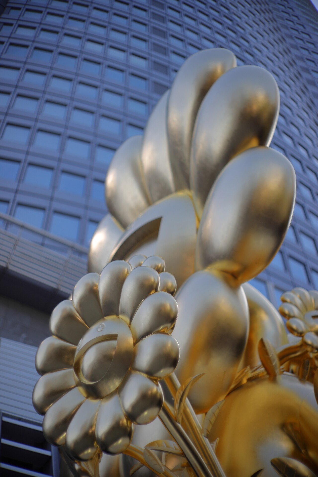 MS-Optical 宮崎光学 HIPOLION 19mm F8 ゴールド MS-Optical